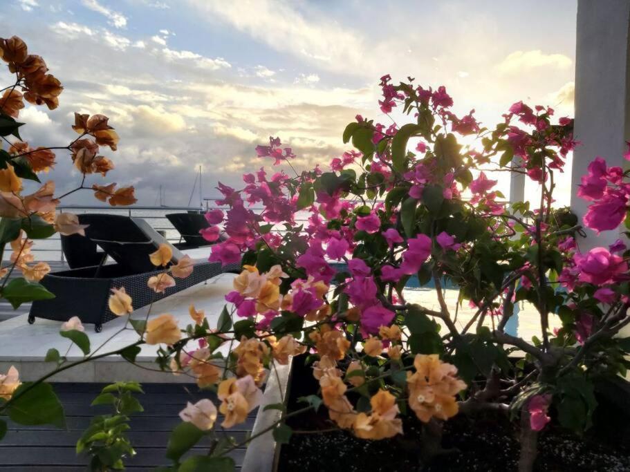 Tradewinds Apartments Simpson Bay Esterno foto